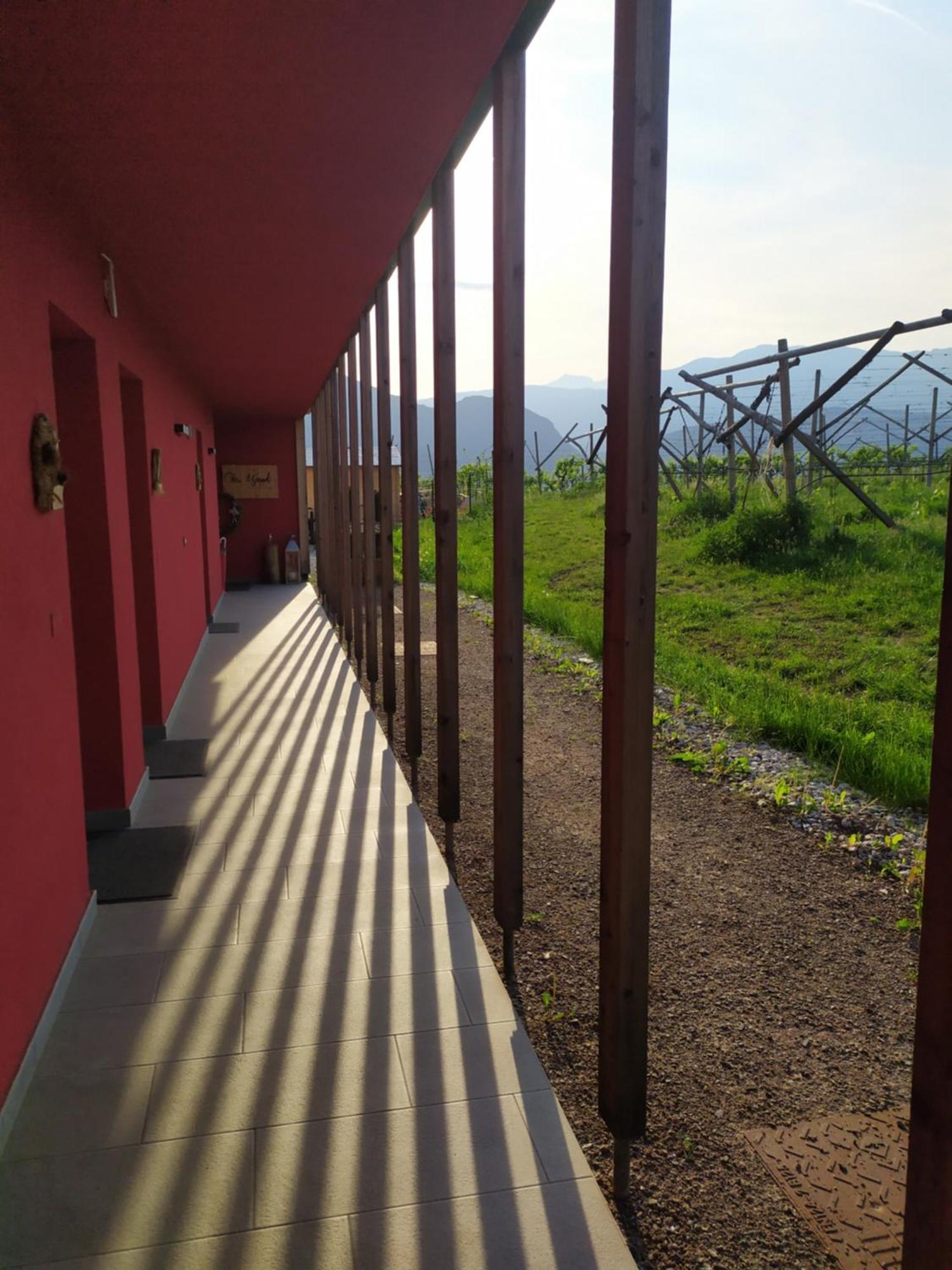 8 Grappoli Agritur Trento Exterior foto