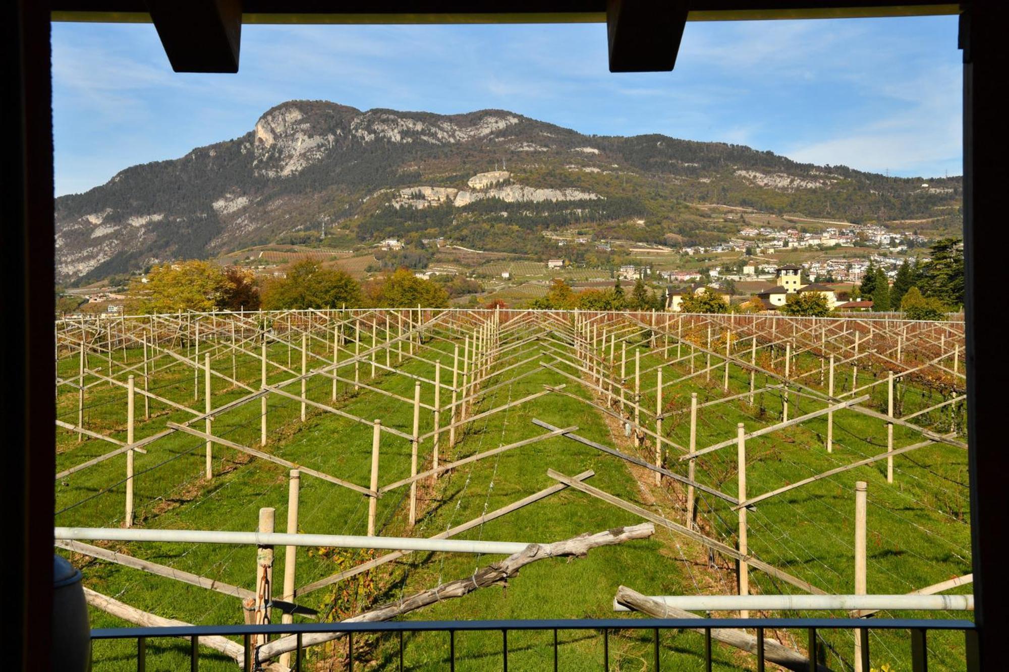8 Grappoli Agritur Trento Exterior foto