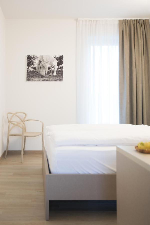 8 Grappoli Agritur Trento Exterior foto